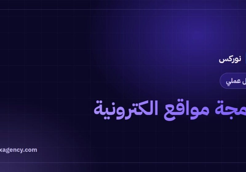 برمجة مواقع الكترونية: دليل مبسط للغات والتقنيات ومراحل المشروع