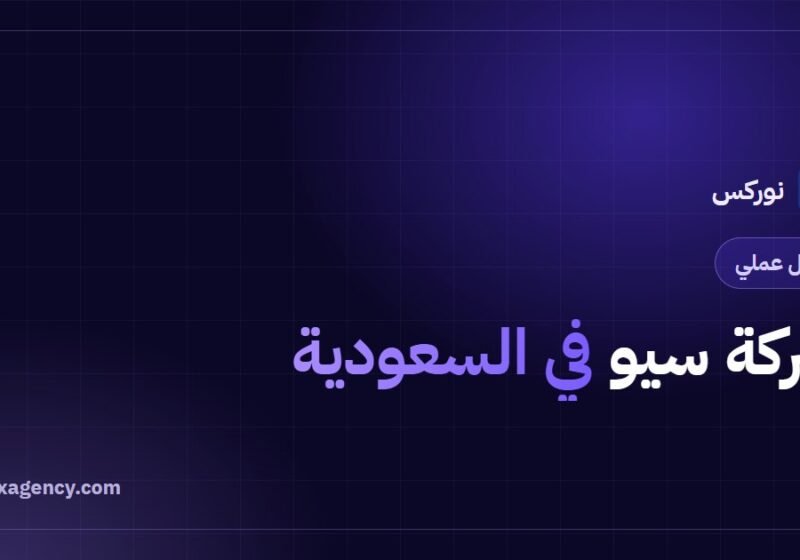 شركة سيو في السعودية: دليل اختيار الشريك المناسب لموقعك