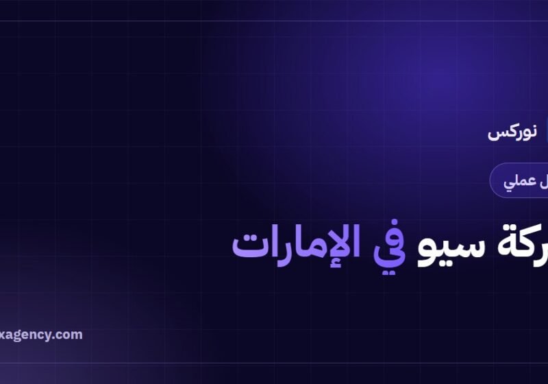 شركة سيو في الإمارات: دليل الظهور في سوق متعدد اللغات