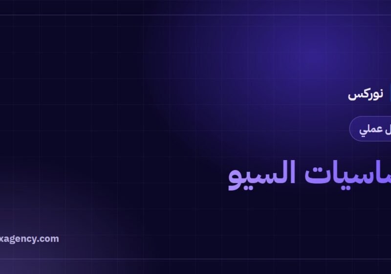 اساسيات السيو: دليل المبتدئين الكامل في 7 خطوات عملية