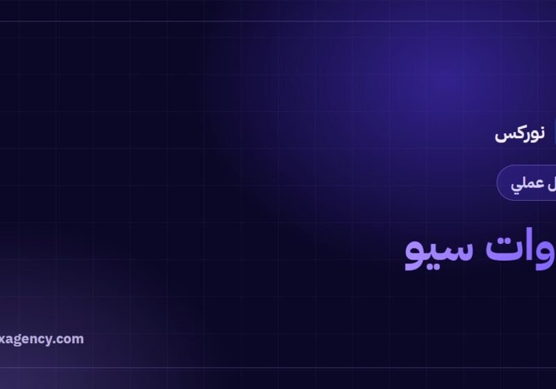 ادوات سيو: دليل شامل إلى 7 مجموعات أساسية حسب المهمة